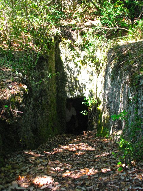 rampa che porta alla camera mortuaria della tomba etrusca 
        dell'Edera nei boschi del Castello di Grotti